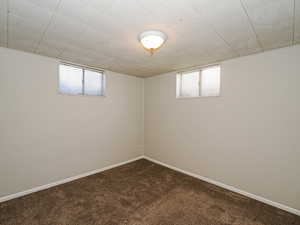 Bedroom #4 - Lower Level