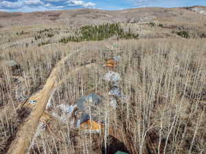 View of mountain background with a forest