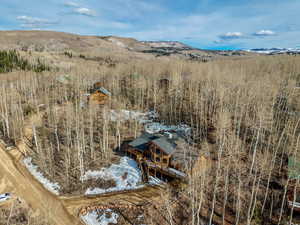 Bird's eye view of a mountain backdrop and a heavily wooded area