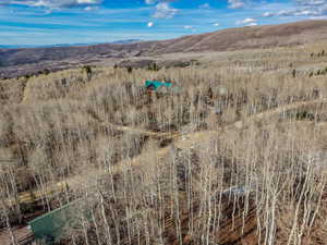 View of mountain background