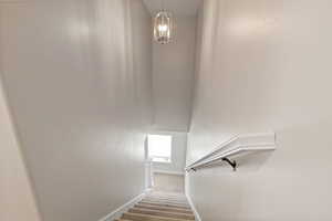 Stairs featuring carpet and baseboards