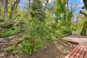 Private, wooded yard