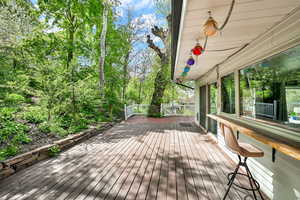 Backyard deck
