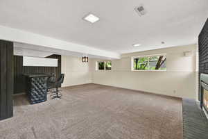 Light filled lower level family room