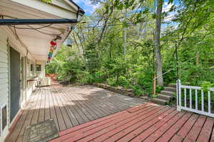 Gorgeous wooded yard off deck