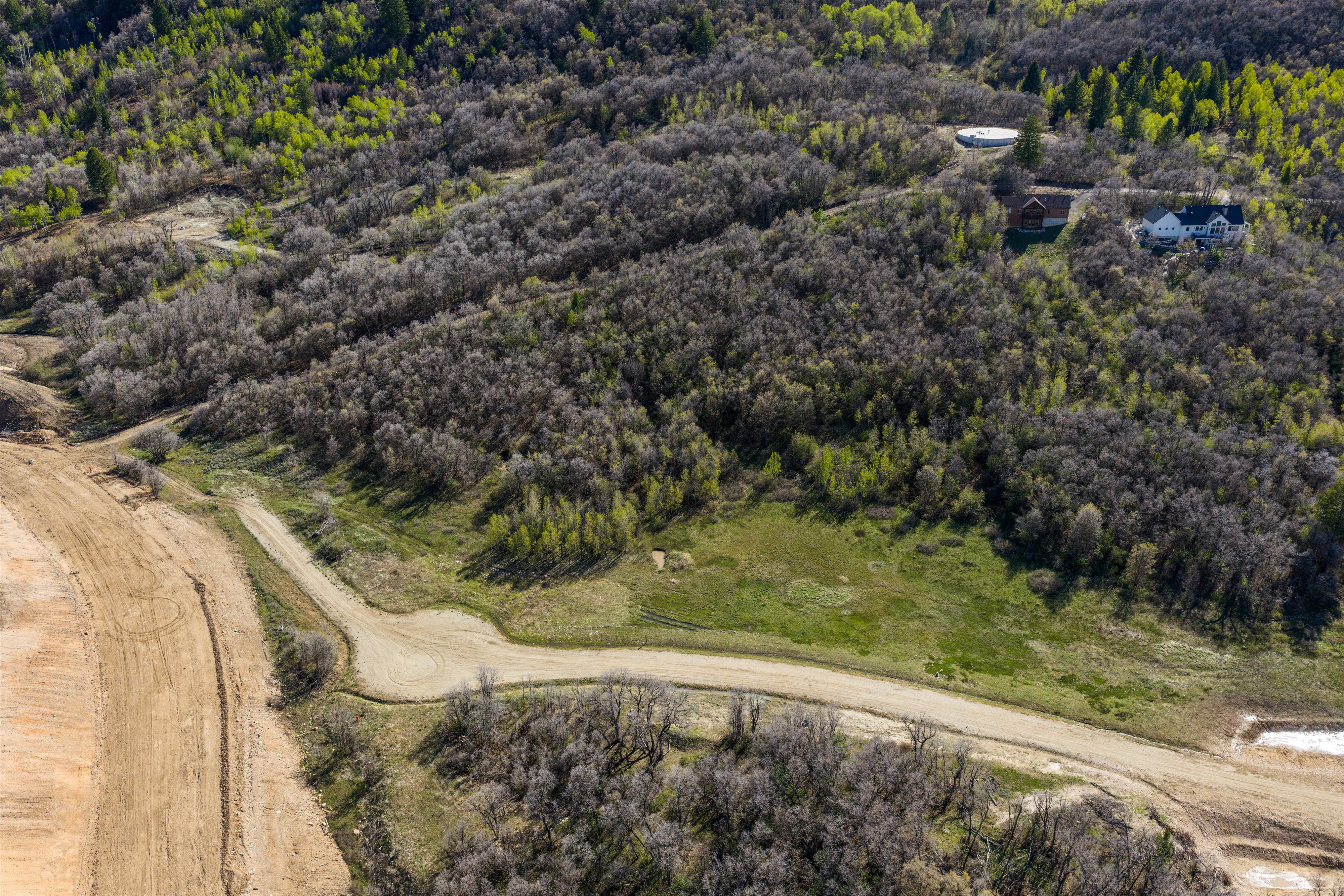 Drone / aerial view of a forest