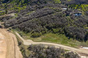 Drone / aerial view of a forest