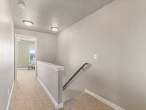 Stairs featuring carpet flooring