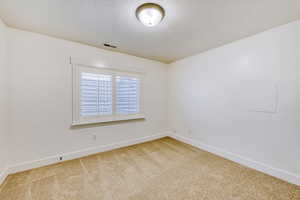 Spare room with light colored carpet and a textured ceiling