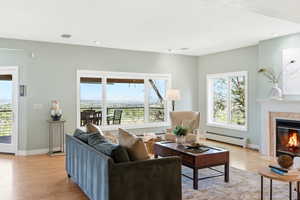 Living room with a baseboard heating unit, light wood finished floors, and a premium fireplace