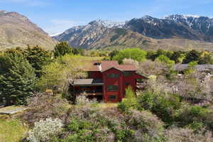 View of mountain background