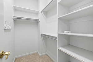 Walk in closet featuring light colored carpet