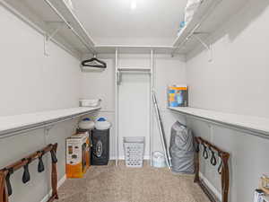 Massive primary walk in closet