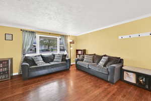 Living room with dark wood-style floors, wine cooler, crown molding, and a textured ceiling