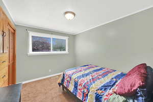Bedroom with light colored carpet, a textured ceiling, crown molding, and a closet