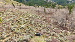 View of woods with a mountain view