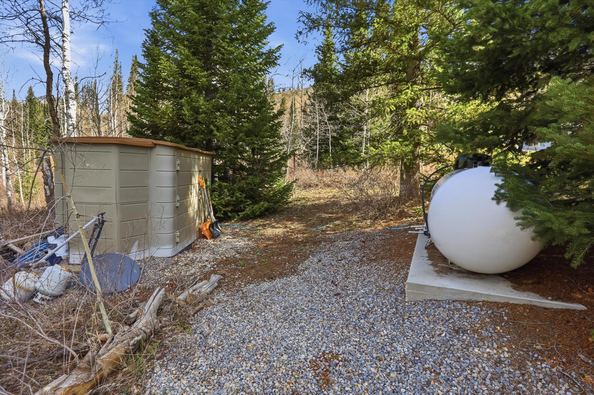 View of yard featuring a storage unit and view of scattered trees