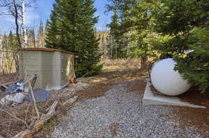 View of yard featuring a storage unit and view of scattered trees