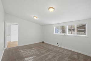 Family room with light carpet and lofted ceiling