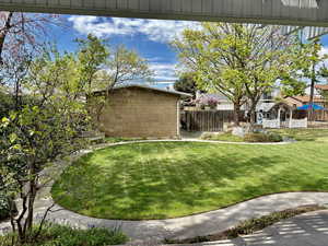 Backyard & Brick Shop