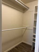Primary Bedroom Walk In Closet