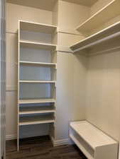 Primary Bedroom Walk in Closet