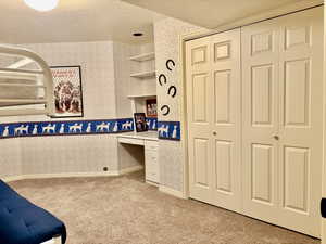 Basement Bedroom