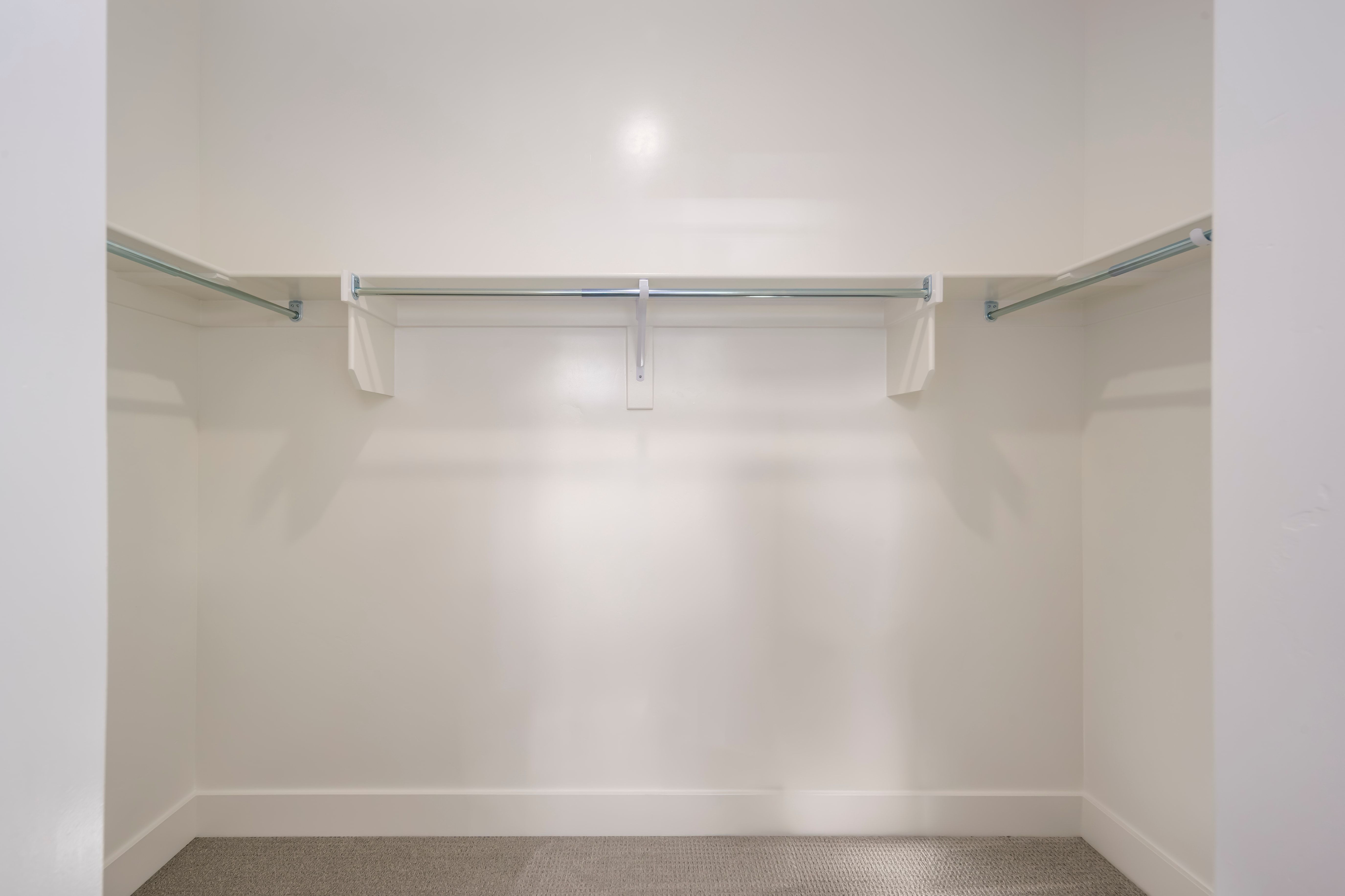 Walk in closet with carpet floors