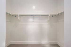 Walk in closet with carpet floors