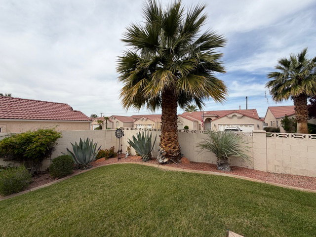 View of fenced backyard