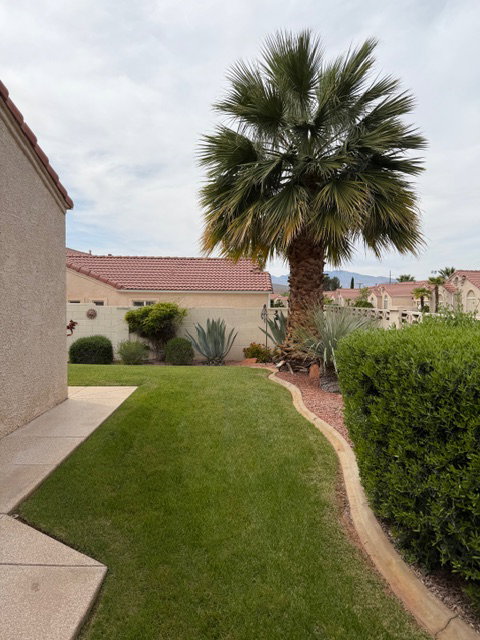 View of fenced yard