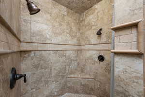 Bathroom view of tiled shower