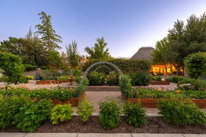 View of yard featuring a garden