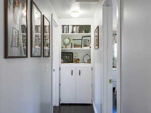 Hall with dark wood-style floors