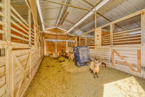 View of horse barn