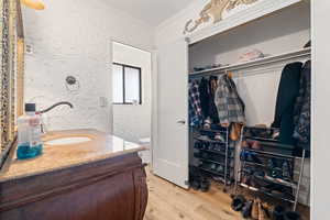 Bathroom featuring vanity, crown molding, light wood-type flooring, and a spacious closet