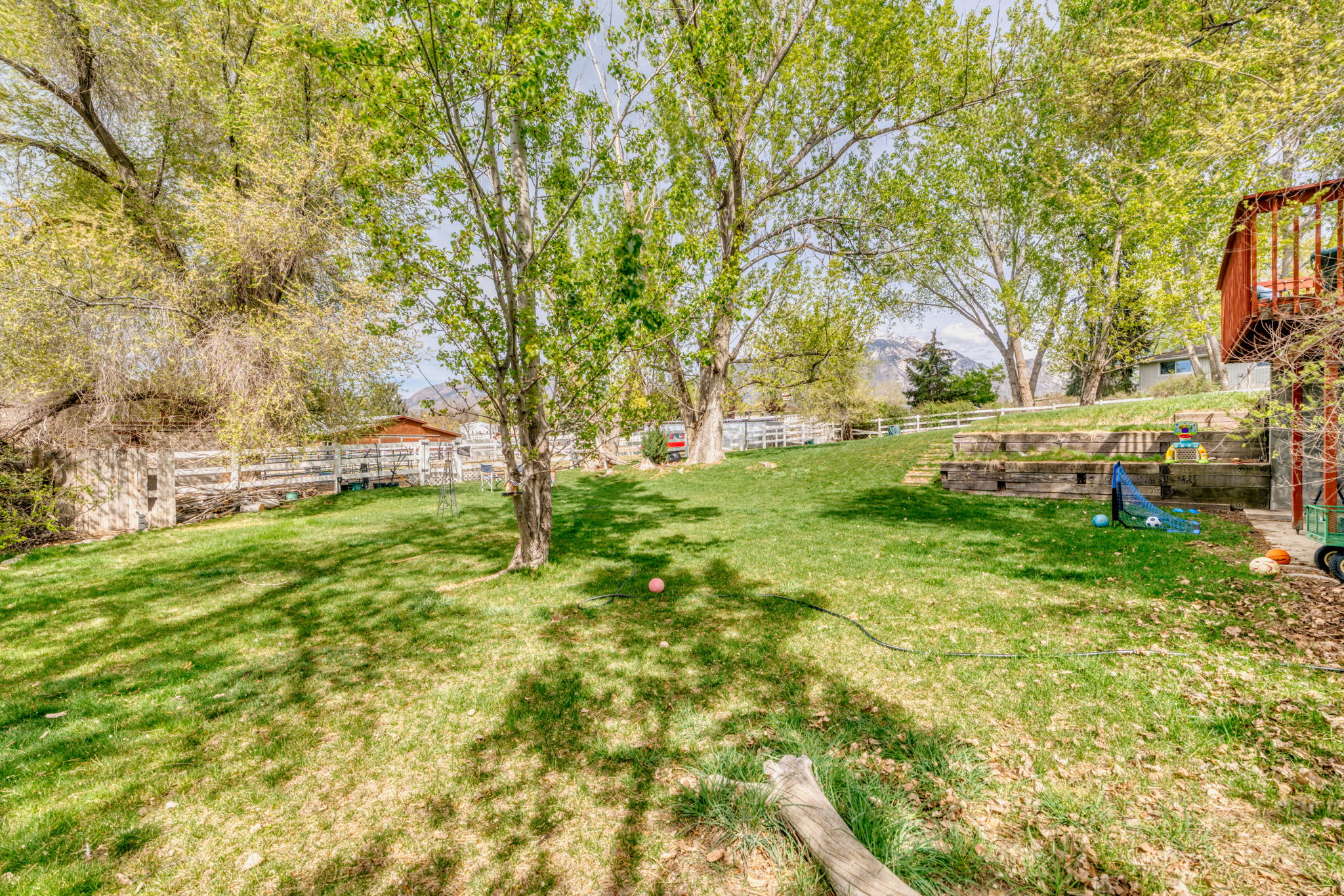 View of fenced backyard