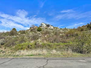 View of undeveloped land