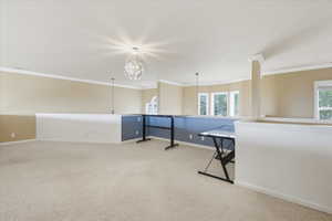 Empty room featuring light carpet and ornamental molding