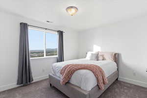 Carpeted bedroom with baseboards