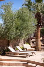 View of community featuring a fenced backyard and a patio