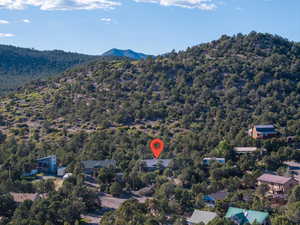Aerial view of mountains and a forest