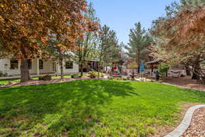 View of green lawn