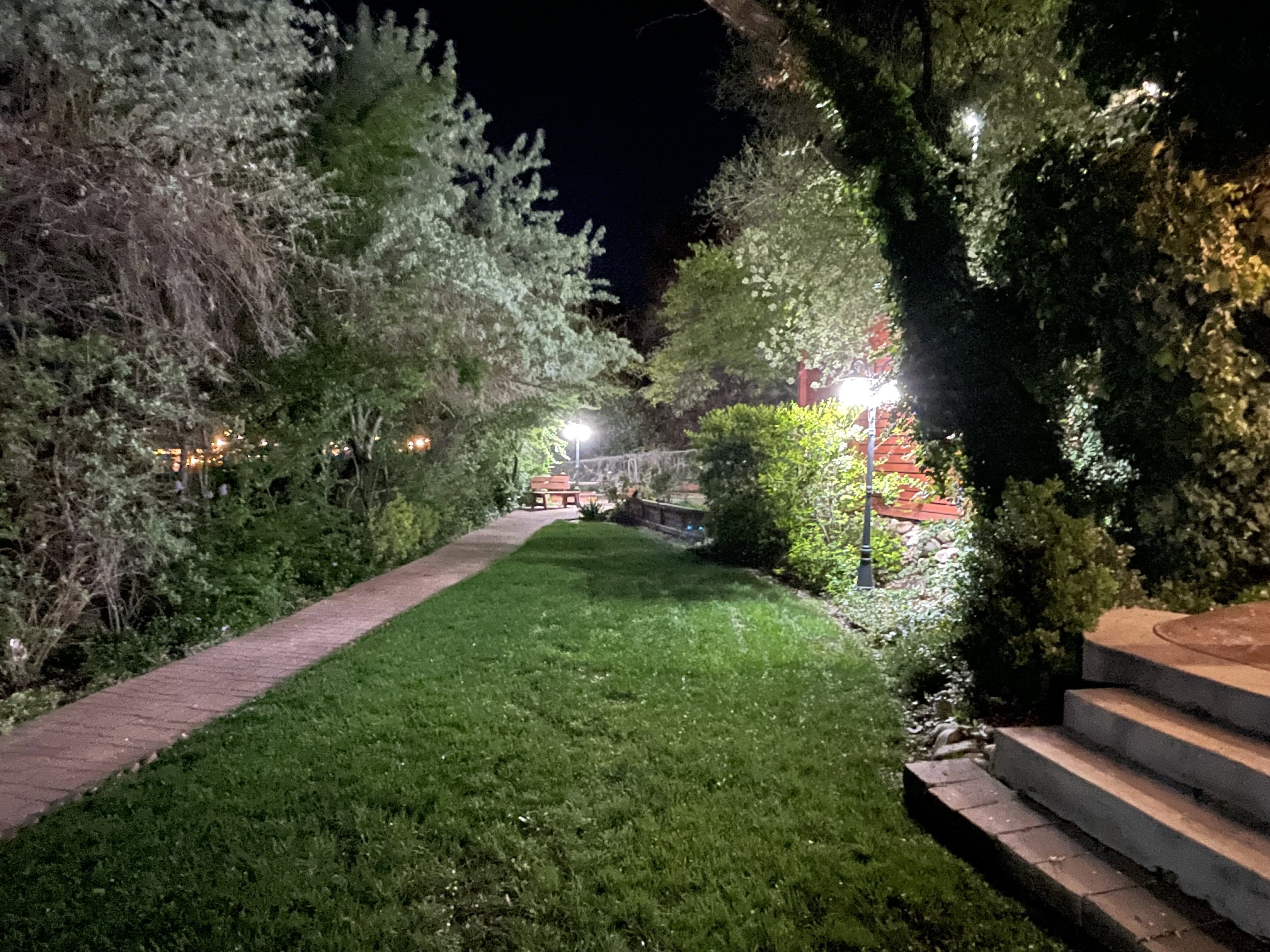 Yard at twilight featuring a yard
