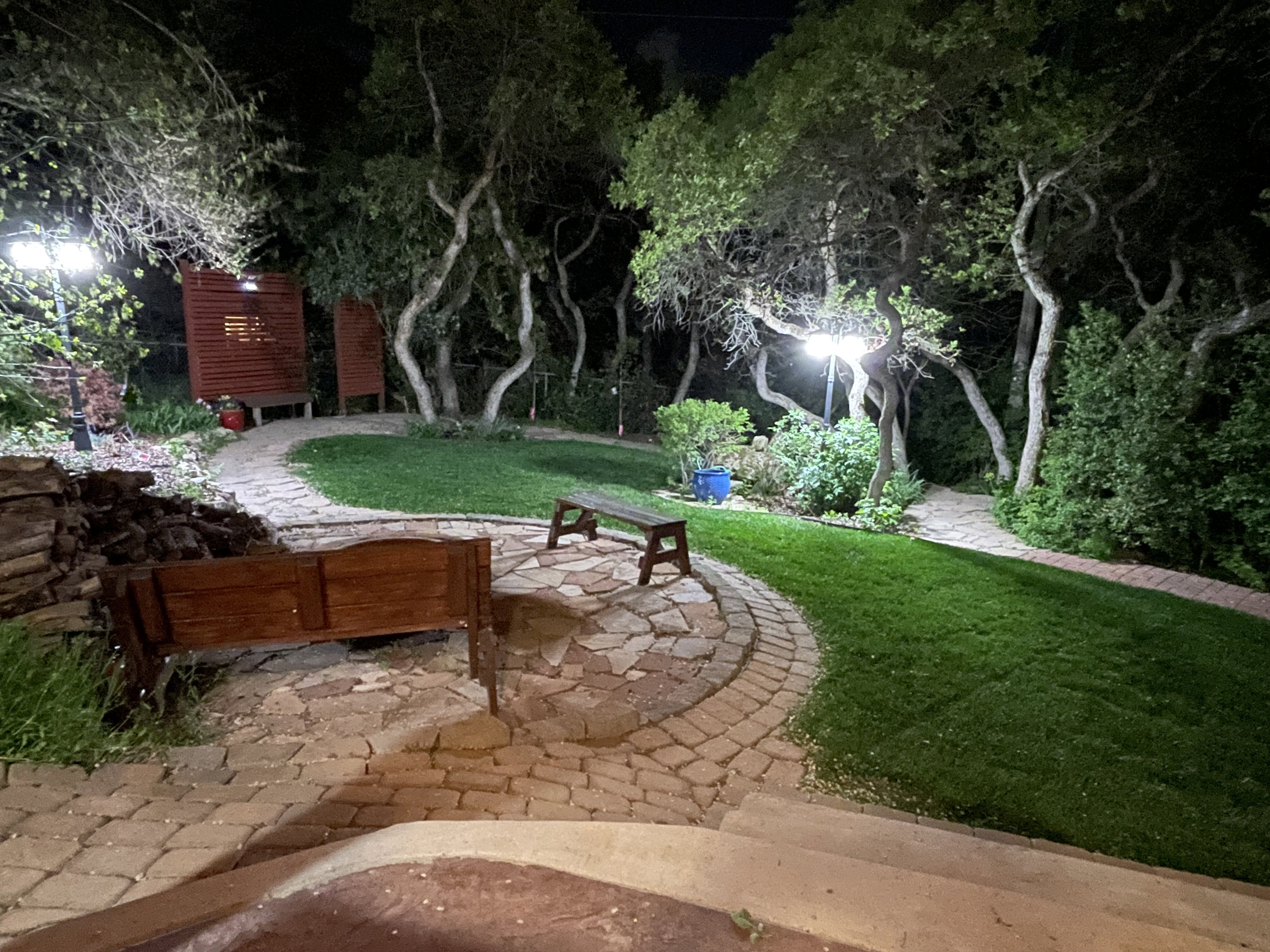 Yard at night featuring a patio area and a yard