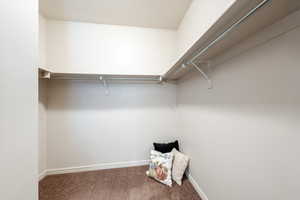 Walk in closet with carpet floors