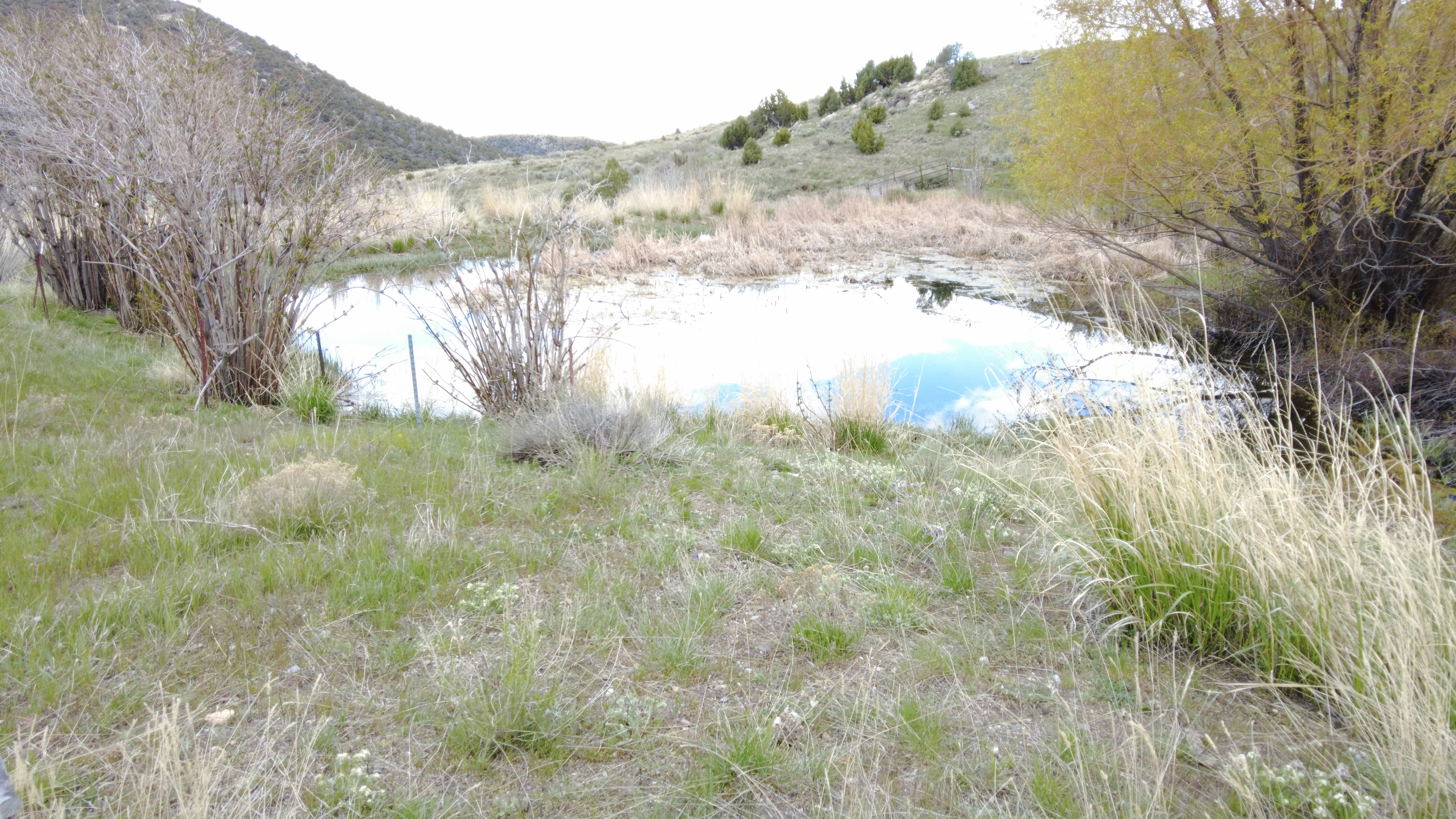 Water view with a mountainous background