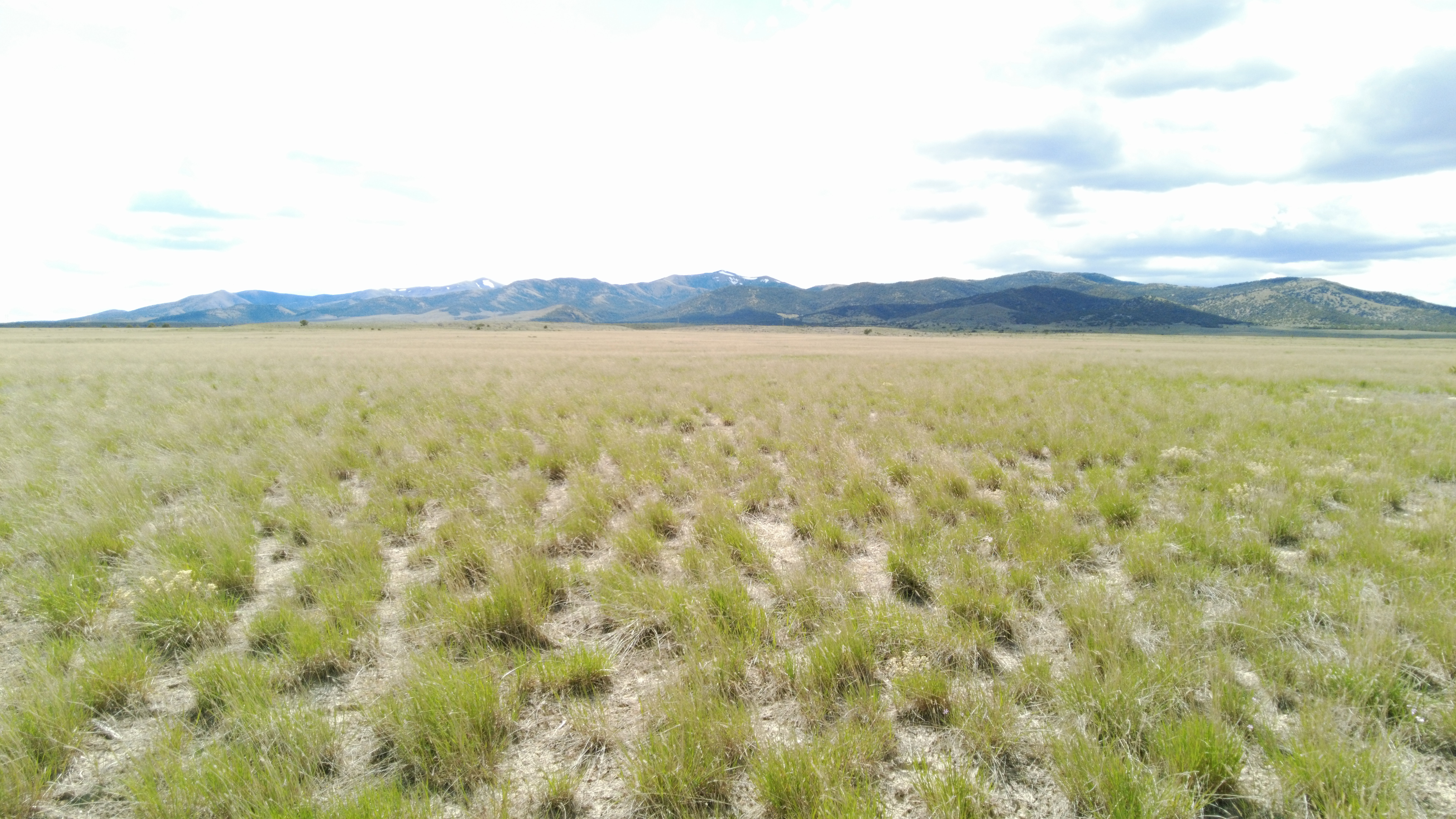 View of mountain background with rural landscape