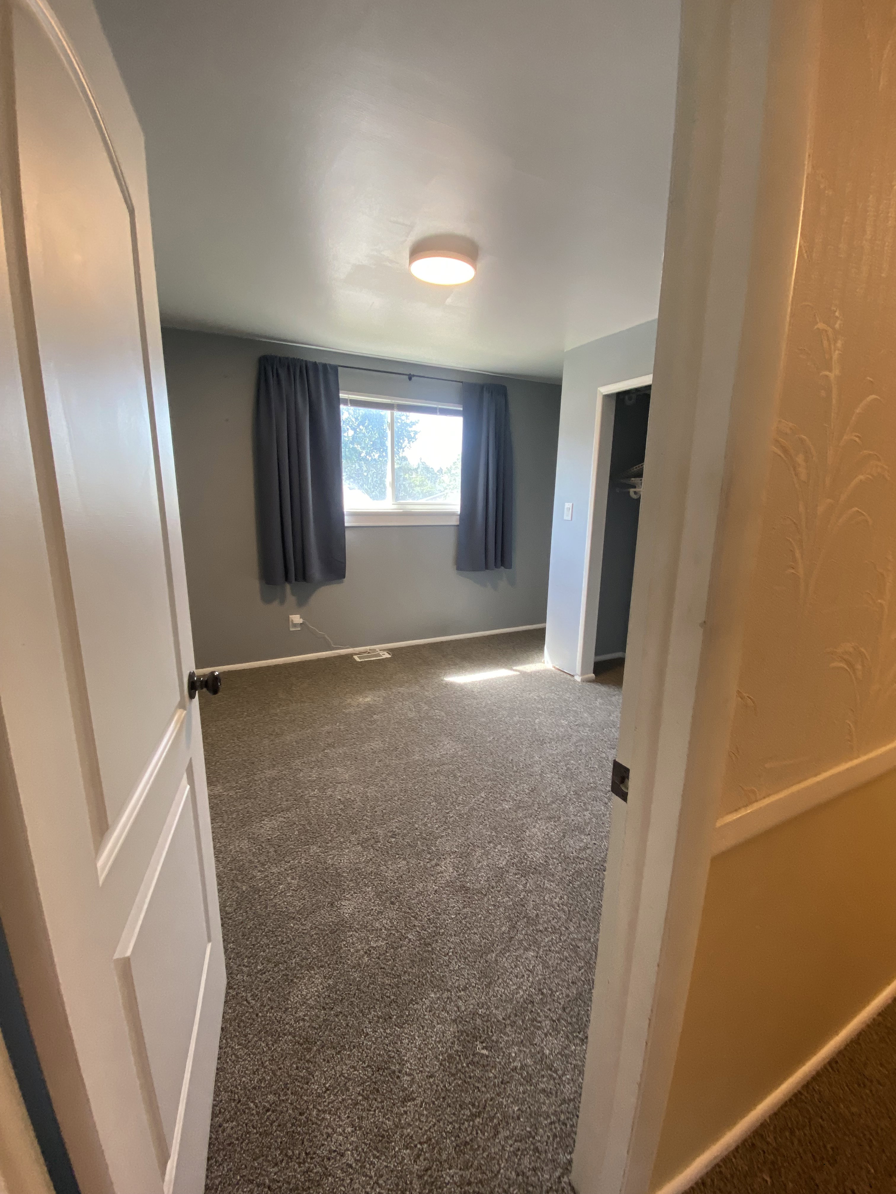Room with gray carpeting, a window with gray drapes, and a ceiling-mounted light fixture