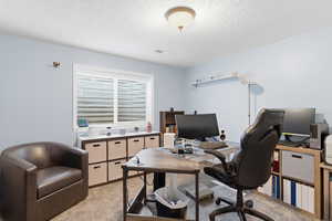 Office space with light carpet and a textured ceiling